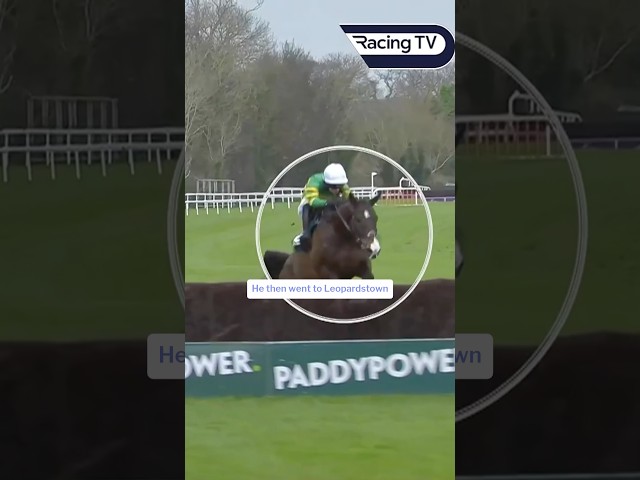 Thumbnail for Post ID: QamoV1slf6c