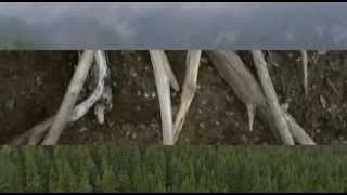 Jon Hopkins - Breathe This Air feat. Purity Ring - Runners remix