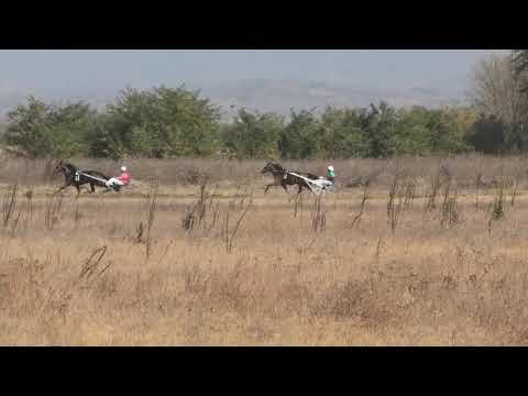 Trka "Warena Buddie" 11.10.2018 Ian Janis A.T.-Branko Skenderović