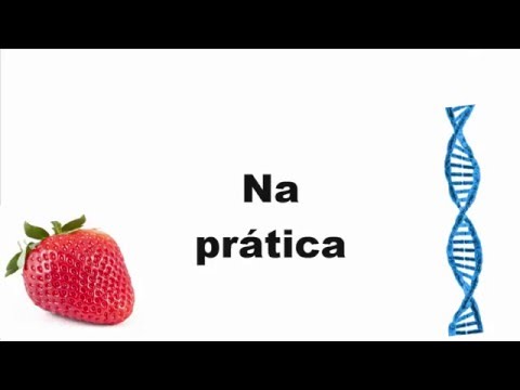 Como extrair o Dna de um Morango