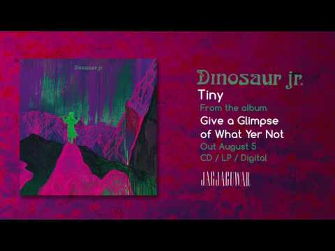 Dinosaur Jr  - Tiny (Official Audio)