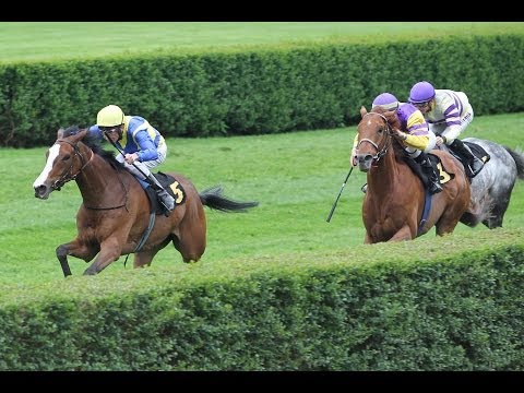 Krefeld: Preis des Krefelder Ladies' Day (E) - Sieger: Glee