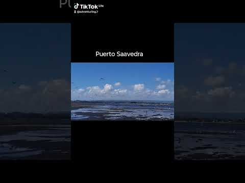 Puerto Saavedra Los Pinos Región de la Araucanía #temuco #chile #naturaleza #travesia #turismo