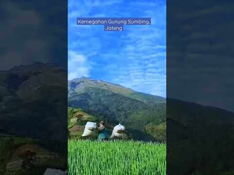 Kemegahan Gunung Sumbing, Jateng #gunungsumbing #mendakigunung  #videoshort #trending