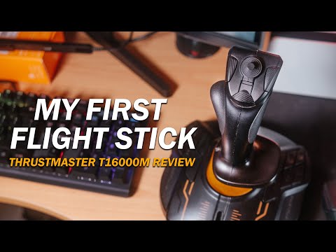 Best Cheap Flight Stick? | Thrustmaster T16000M Review