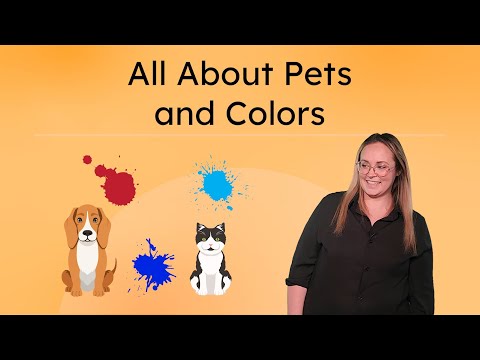 All About Pets and Colors - ASL Song and Vocabulary Practice for Kids
