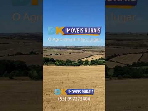 Arrendamento Rural | Oportunidades em Santana do Livramento, Santo Antônio das Missões e São Gabriel