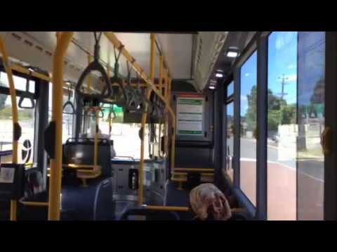 Transperth TP2039 Mercedes-Benz OC500LE CNG (ZF)