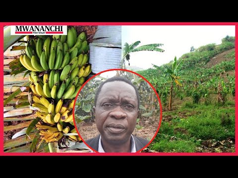 Ugonjwa wa ajabu waibuka, wafananishwa na Ukimwi, Mbunge atoa tahadhari