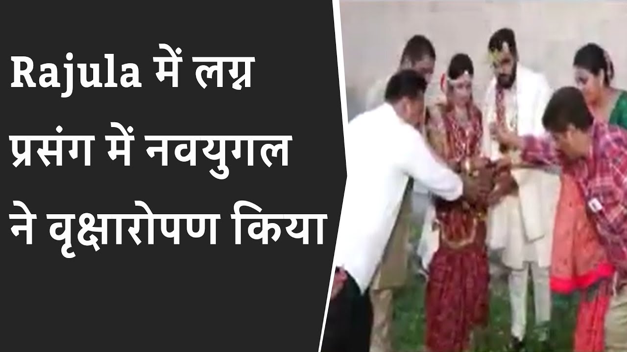 Rajula में लग्न प्रसंग में नवयुगल ने वृक्षारोपण किया | Bride & groom plant tree on wedding day