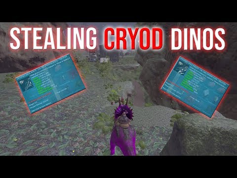 STEALING CRYOD TAMES & RAIDING - ARK SMALL TRIBES PVP #81
