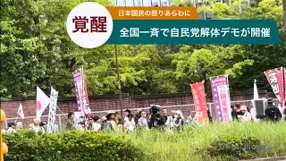 【覚醒】自民党政治に対して、有志の国民(保守層)の怒りあらわに　自民党解体デモ　2026年6月28日 東京