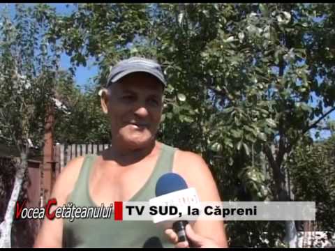 vocea cetateanului CAPRENI