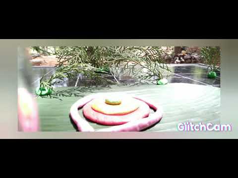 Bouquet of 💐 FLOWERS 💐💐