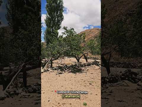 Puesto de Don Ramón en Cuesta de Vicuña Pampa ( Departamento de Belén-Catamarca)