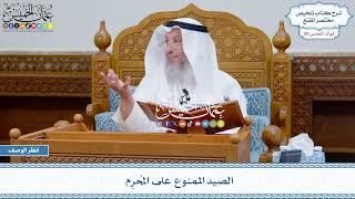 2584 - الصيد الممنوع على المُحرِم - عثمان الخميس