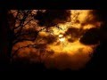 Schiller - Tiefblau