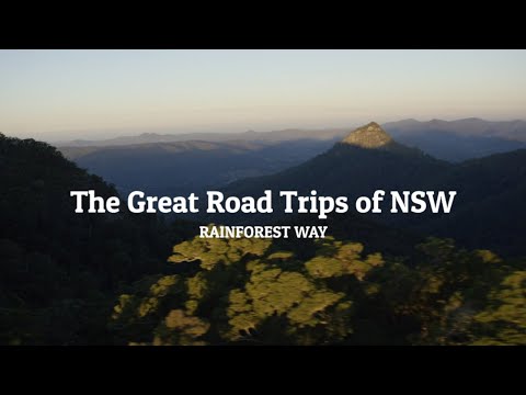 Great Road Trips of NSW: Rainforest Way