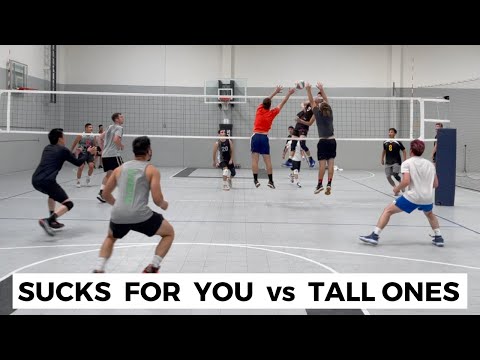 Sucks For You vs Tall Ones | Dynasty Volleyball Tournament (Pool Play 1)