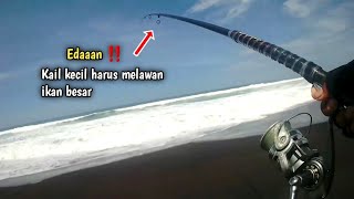 Download lagu Edaaan...‼️ Small hook forced against big fish || Pasiran Fishing mp3