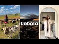 VLOG ILOBOLA Shaka ILembe Premier Home Updates ILobola Vlog ShakaiLembe Homeupdates