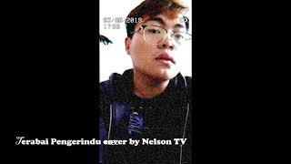 Download lagu Teresak Borneo- Terabai Pengerindu cover by Nelson TV mp3