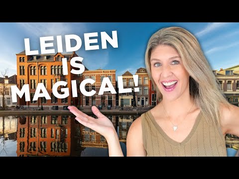 A Perfect Summer Day in Leiden, The Netherlands