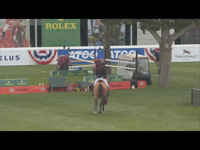Half-brother of this Embryo is the CSI 1.60m jumping horse Excellent B with rider Nicole Walker.
