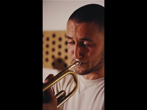 Reincarnation of a Lovebird — Demian Big Band
