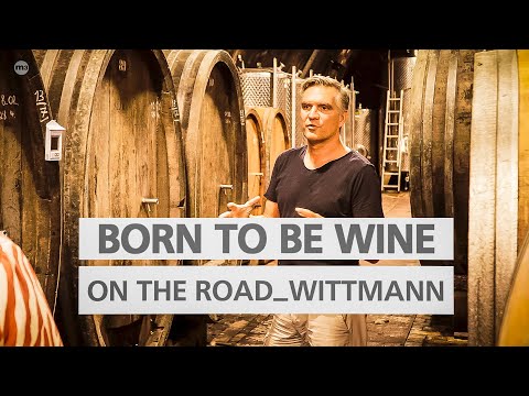 BORN TO BE WINE on the road – Zu Besuch auf Weingut Wittmann
