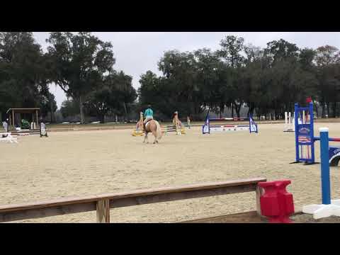 Twiggy Show Jump 12/12/2020