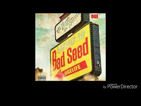 Bad Seed - No Shorts