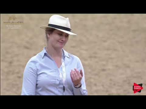 N.63 FARAH UMM ALUDHAM - 2019 Qatar Individuals - Fillies 2 Years Old (Class 2B) .mp4