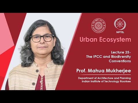 Lecture 25: The IPCC and Biodiversity Conventions