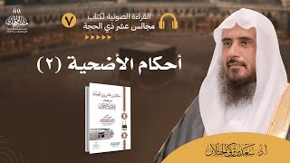 (7) القراءة الصوتية لكتاب مجالس عشر ذي الحجة - (الدرس السابع: أحكامُ الأضحيةِ (2)). image