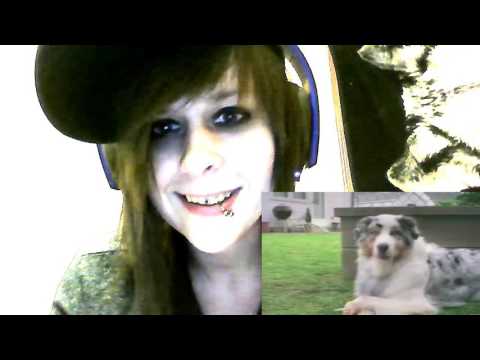 The Weird World Of PSAs JonTron Reaction