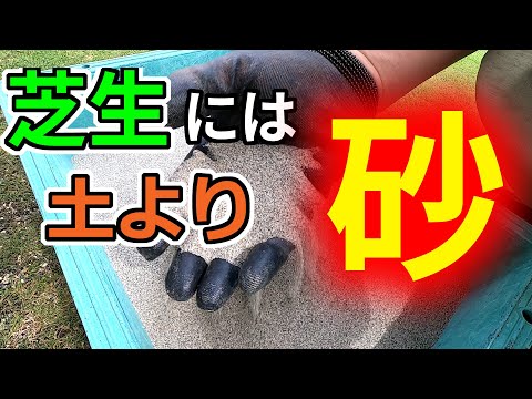 砂は草の成長を妨げますか、それとも芝生に適していますか?使用する砂は2種類ありますか？  庭園