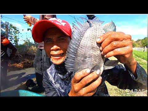 EP556-Part 1 - Paninimot sa Palaisdaan | Occ. Mindoro