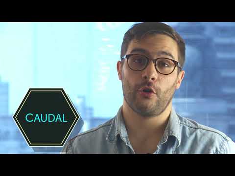 FISIOLOGÍA: Hemodinamia