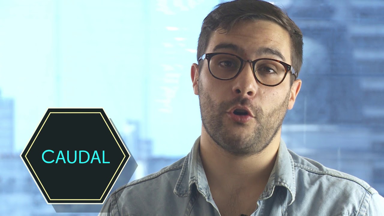 FISIOLOGÍA: Hemodinamia