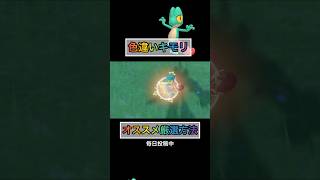 色違いキモリが簡単に手に入るのがもうw 【#ポケモンsv 】