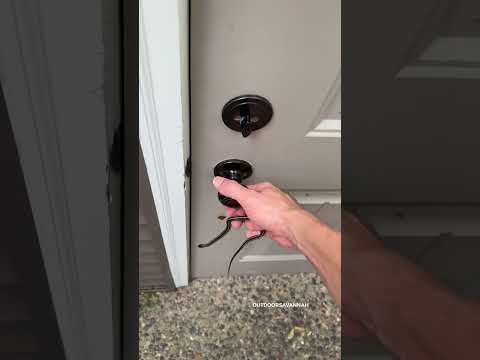 Raja found this in our courtyard #cat