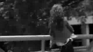 perfect mistake - a jate vid