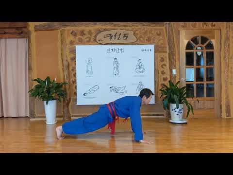 Squat, Push-up, Flank