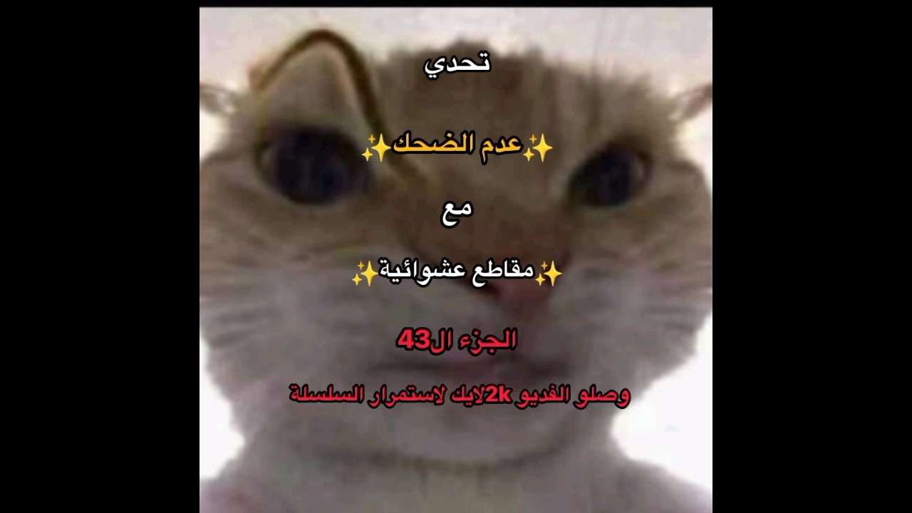 تحدي عدم الضحك اشتركو بالقناة #explore #اكسبلور #تريد_تضحك_تابع_توته #funny