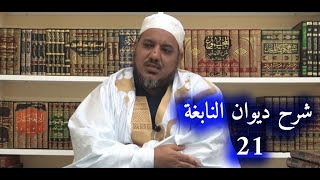 صورة شرح ديوان النابغة الذبياني // 21 // الشيخ محمد محمود الشنقيطي
