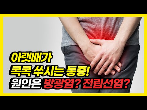 아랫배 아프면 방광염일까, 전립선염일까?