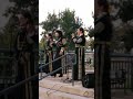 Mariachi Divas 2019 sinaloense