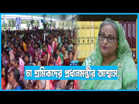 ঐতিহ্যবাহী চা শিল্পকে ধংস হতে দেয়া যাবে নাঃ প্রধানমন্ত্রী