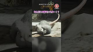 謎のやばい動きをする環境生物に出会ってしまった【モンハンワイルズ】#モンハン